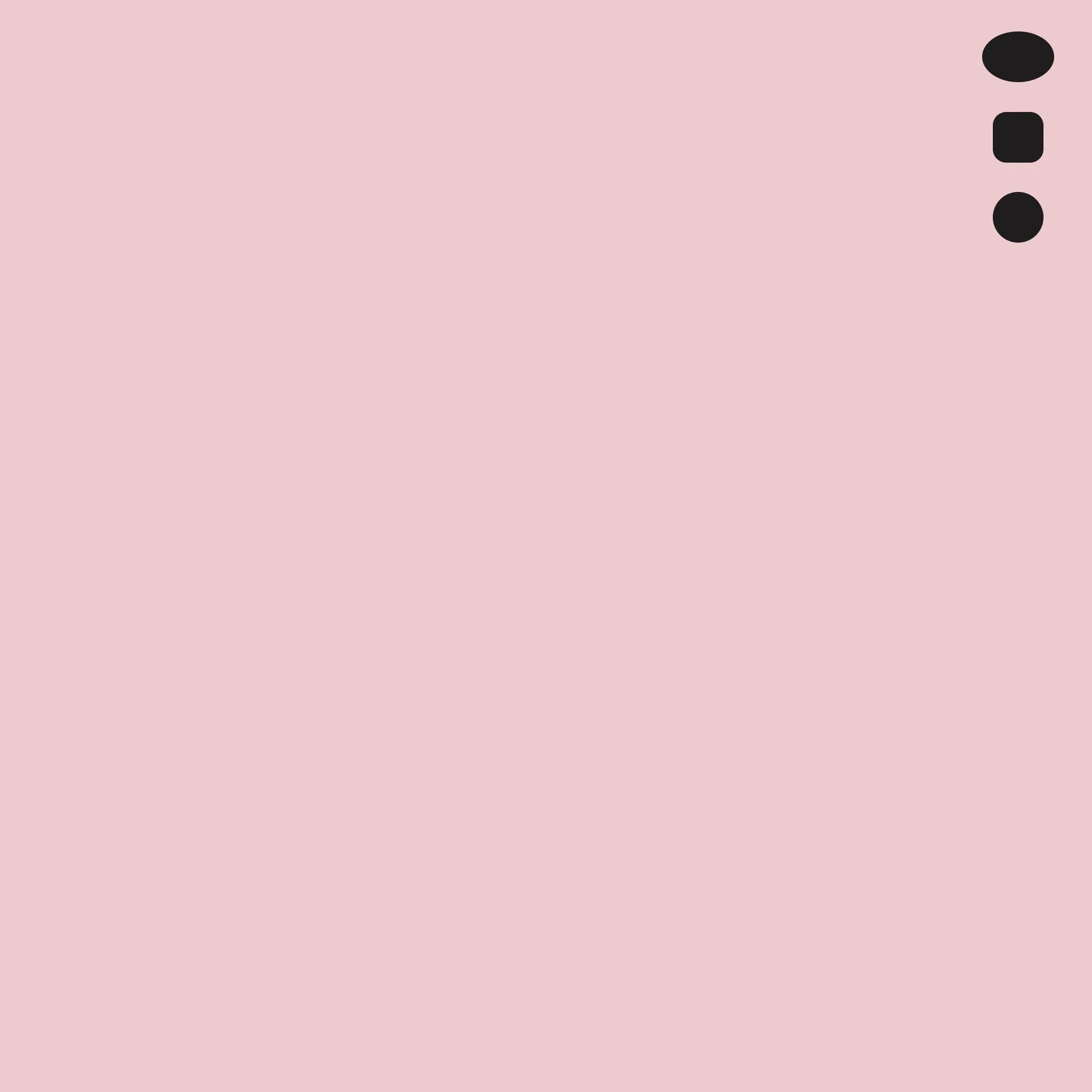 E04 : Lipstick Rose