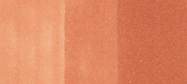 E13 : Desert Sand - Image 2