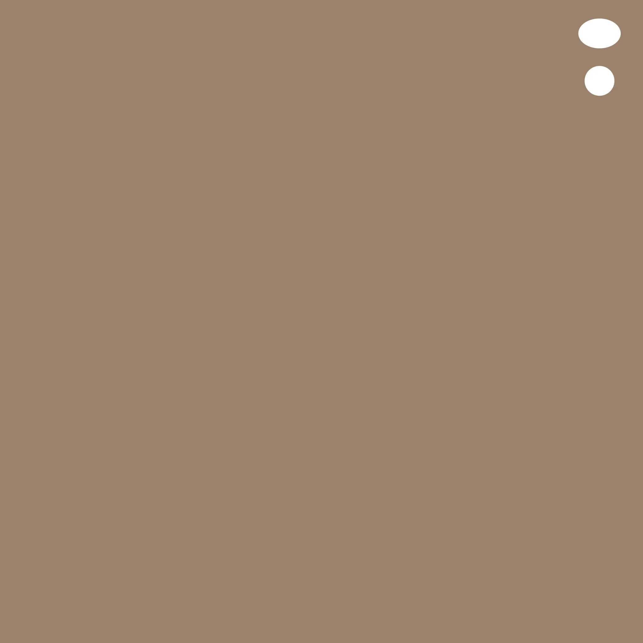 E47 : Dark Brown