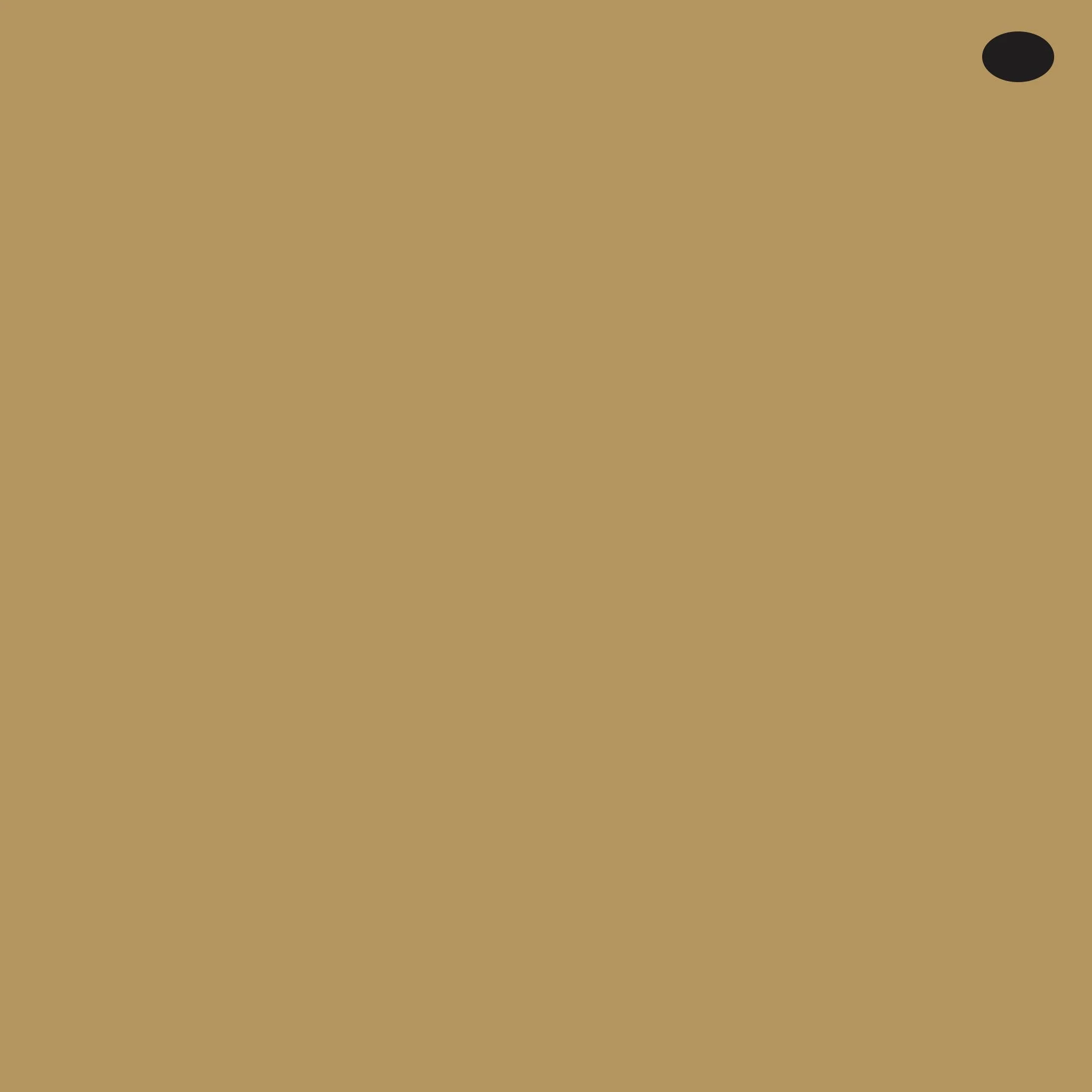 E84 : Khaki
