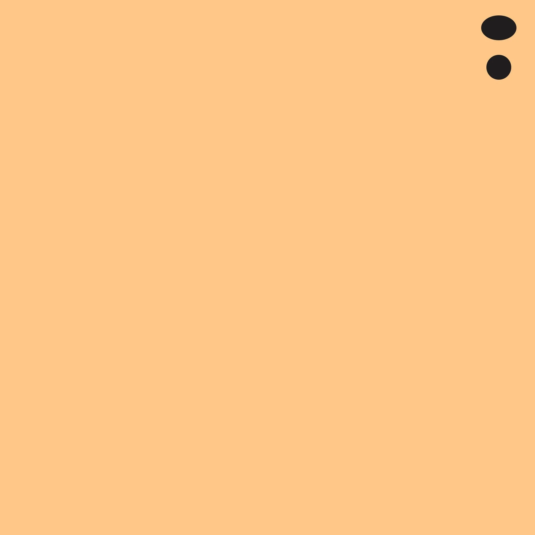 E95 : Tea Orange