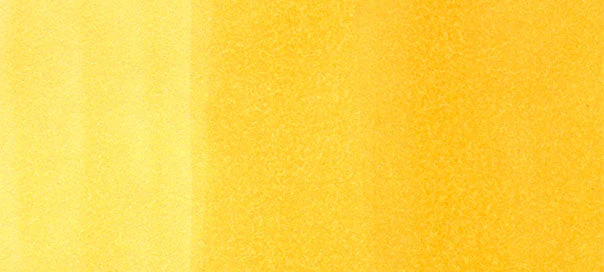 FY : Fluorescent Yellow - Image 2