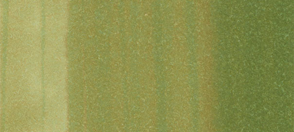 G24 : Willow - Image 2