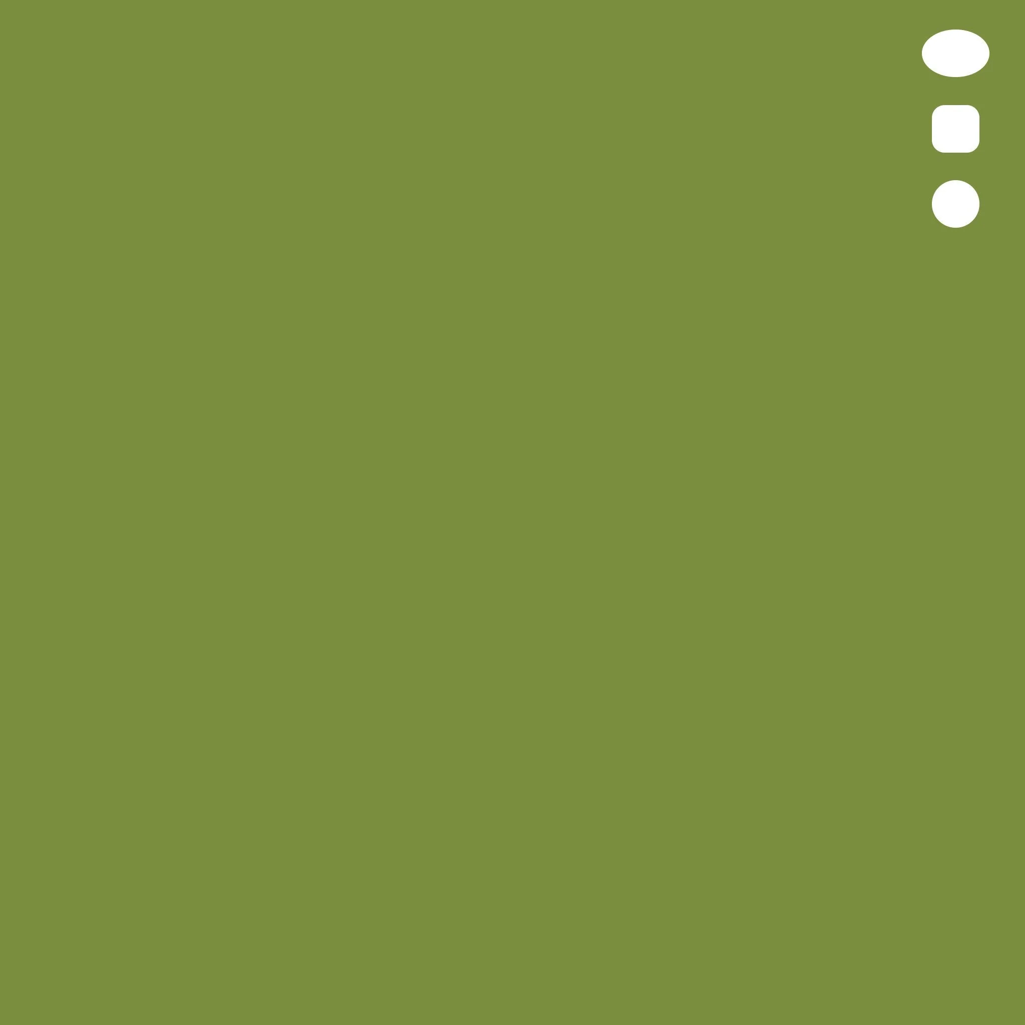 G99 : Olive
