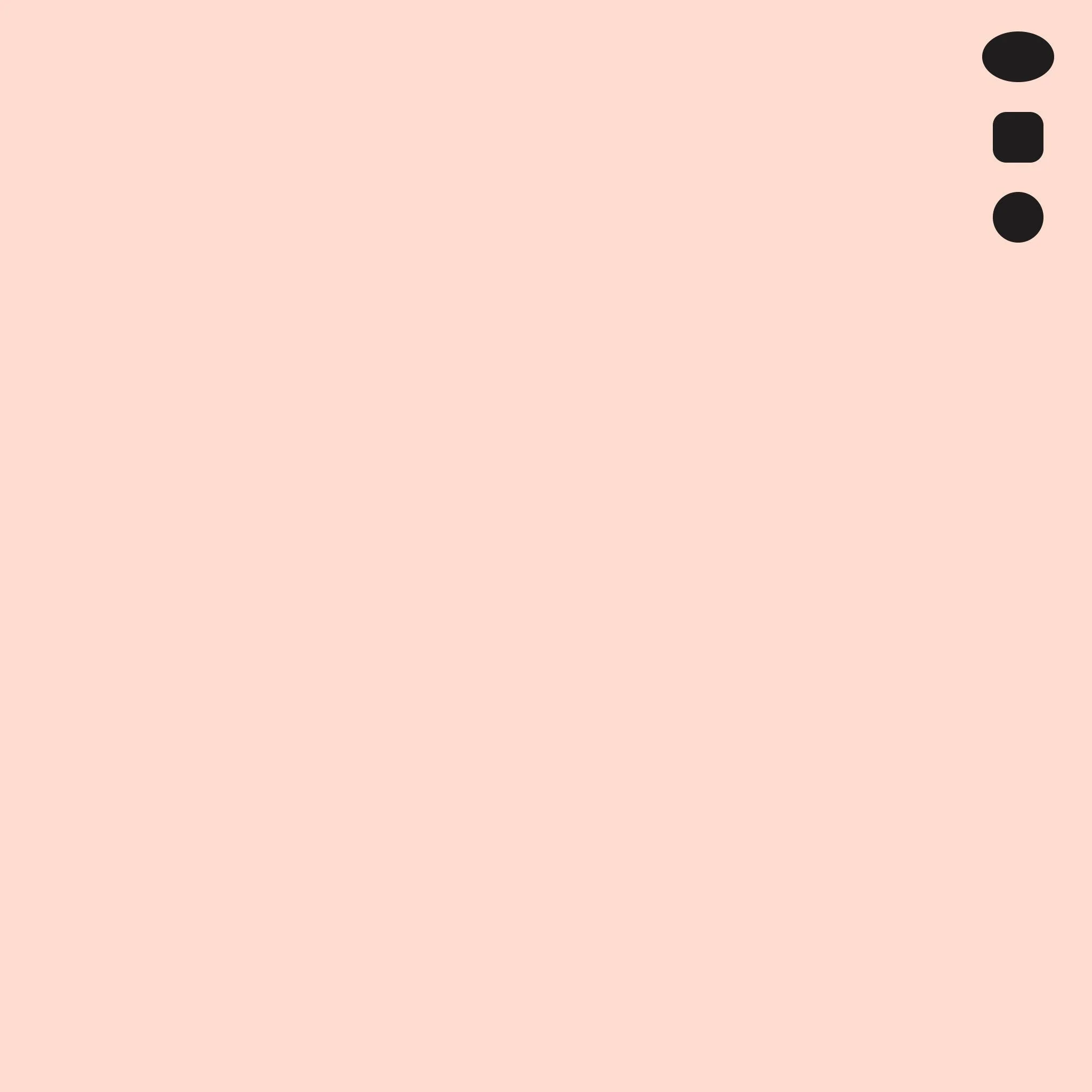 R02 : Rose Salmon