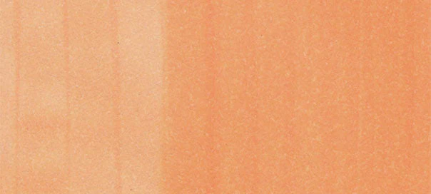 R02 : Rose Salmon - Image 2