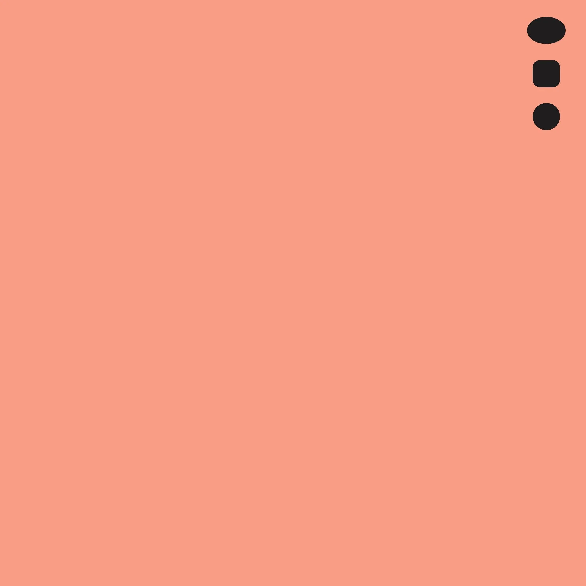 R05 : Salmon Red