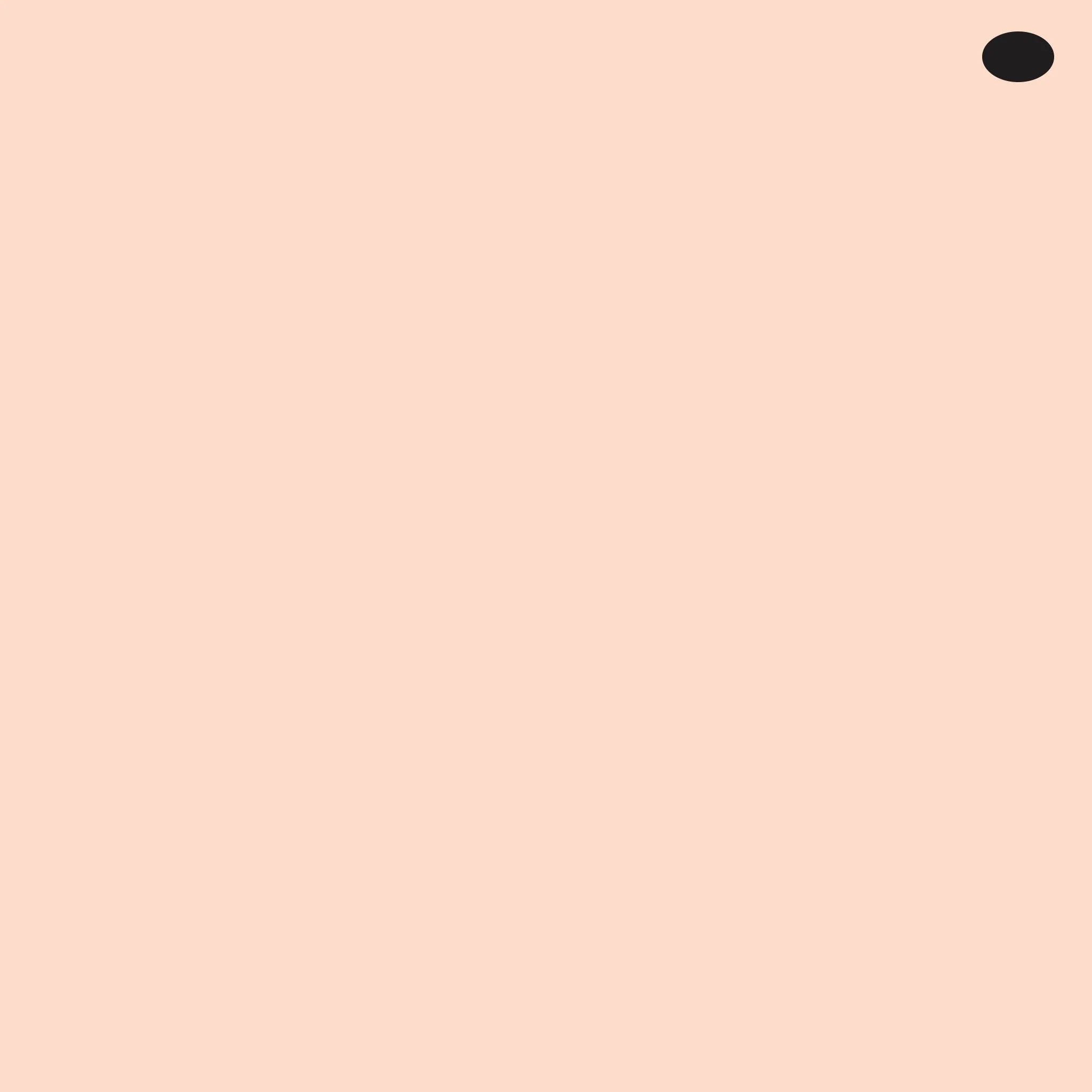 R12 : Light Tea Rose