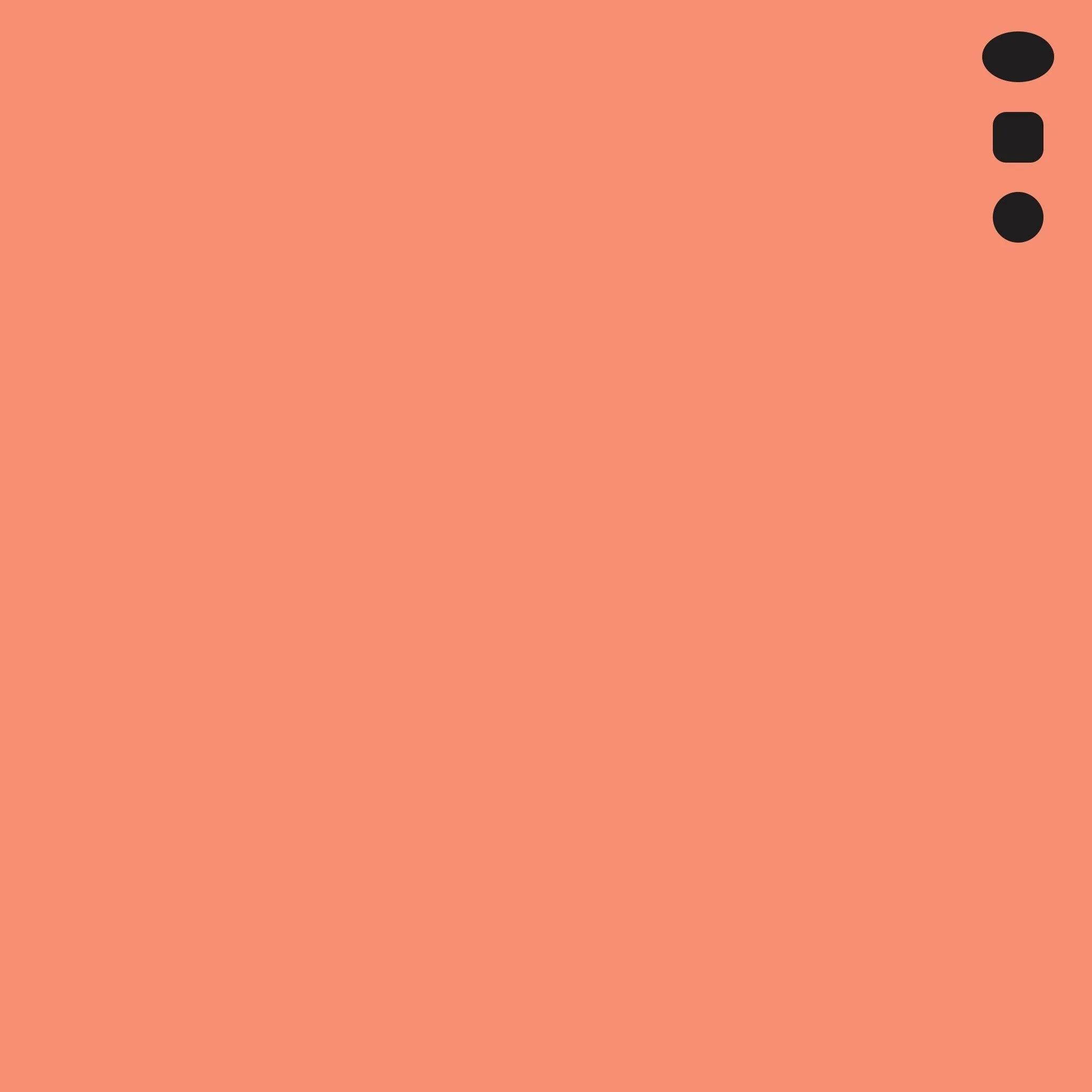R17 : Lipstick Orange