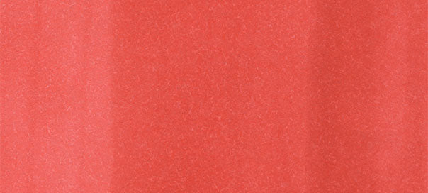 R24 : Prawn - Image 2
