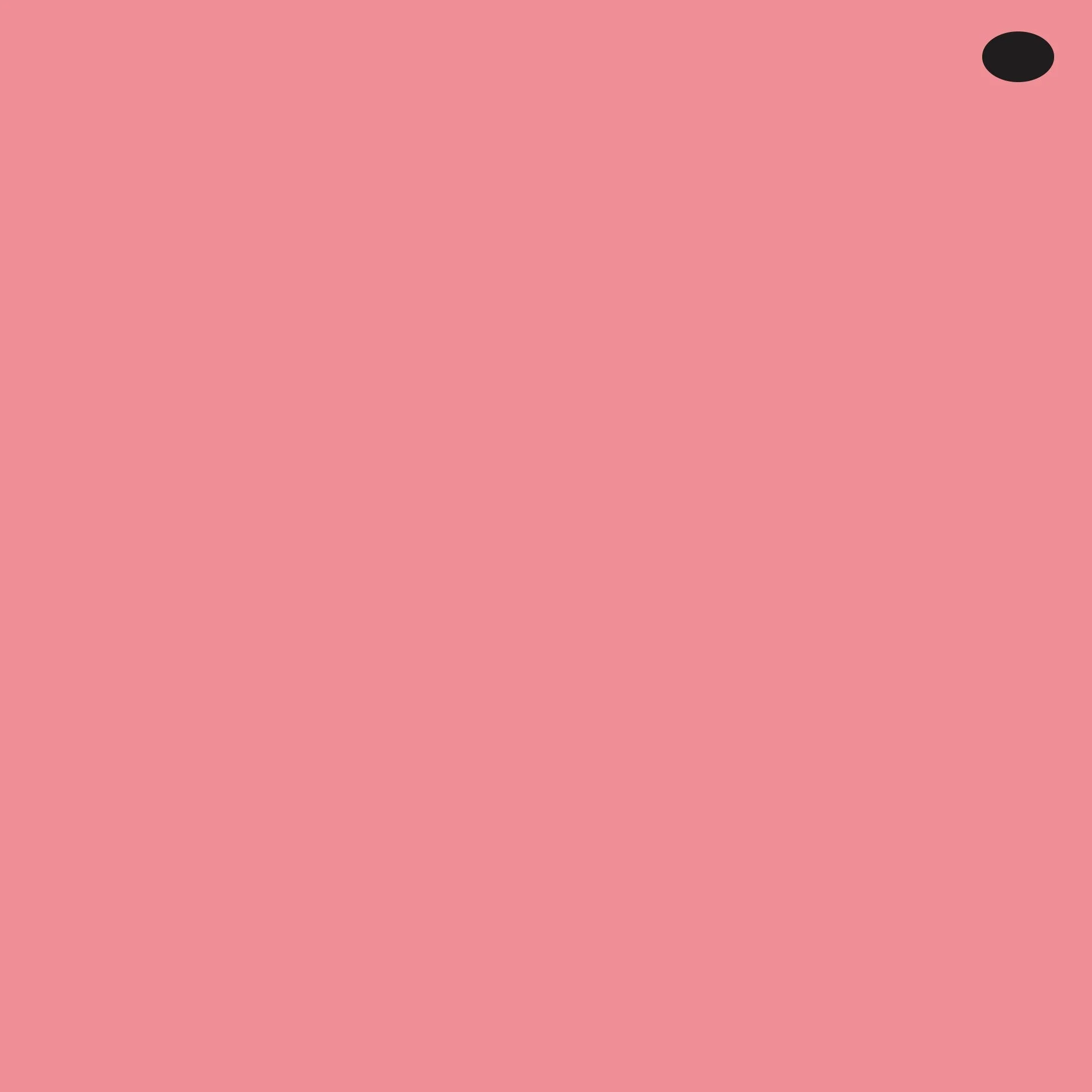 R43 : Bougainvillaea