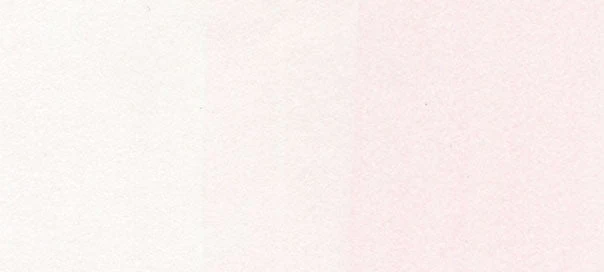 RV0000 : Evening Primrose - Image 2