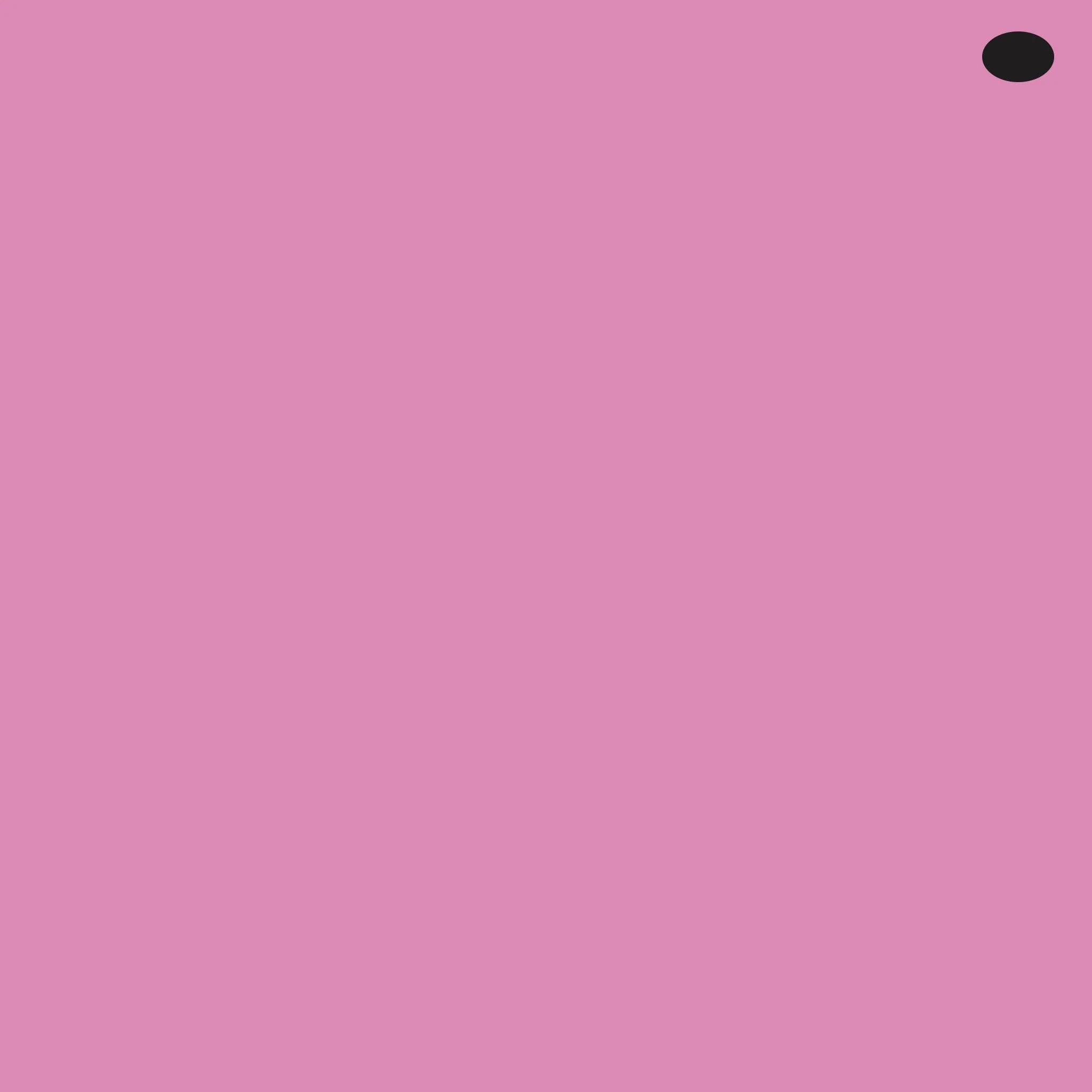 RV63 : Begonia