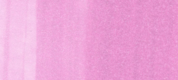 RV63 : Begonia - Image 2