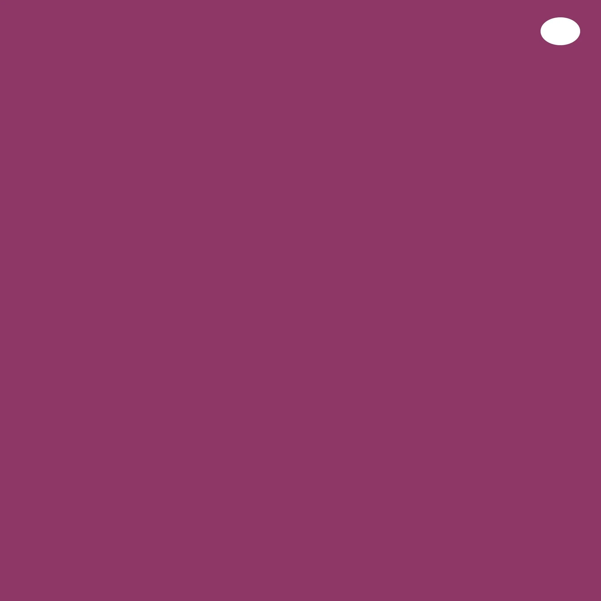 RV66 : Raspberry