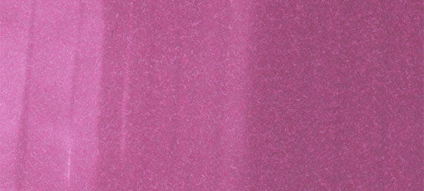 RV66 : Raspberry - Image 2