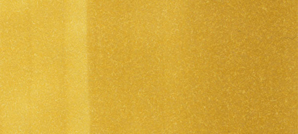 Y26 : Mustard - Image 2