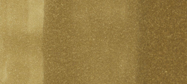 Y28 : Lionet Gold - Image 2
