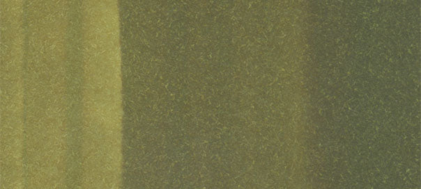 YG97 : Spanish Olive - Image 2