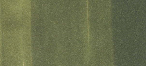 YG99 : Marine Green - Image 2