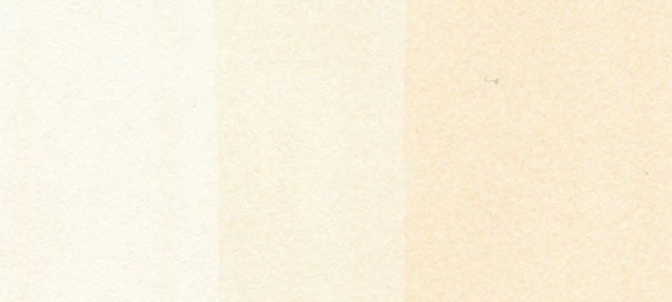 YR0000 : Pale Chiffon - Image 2