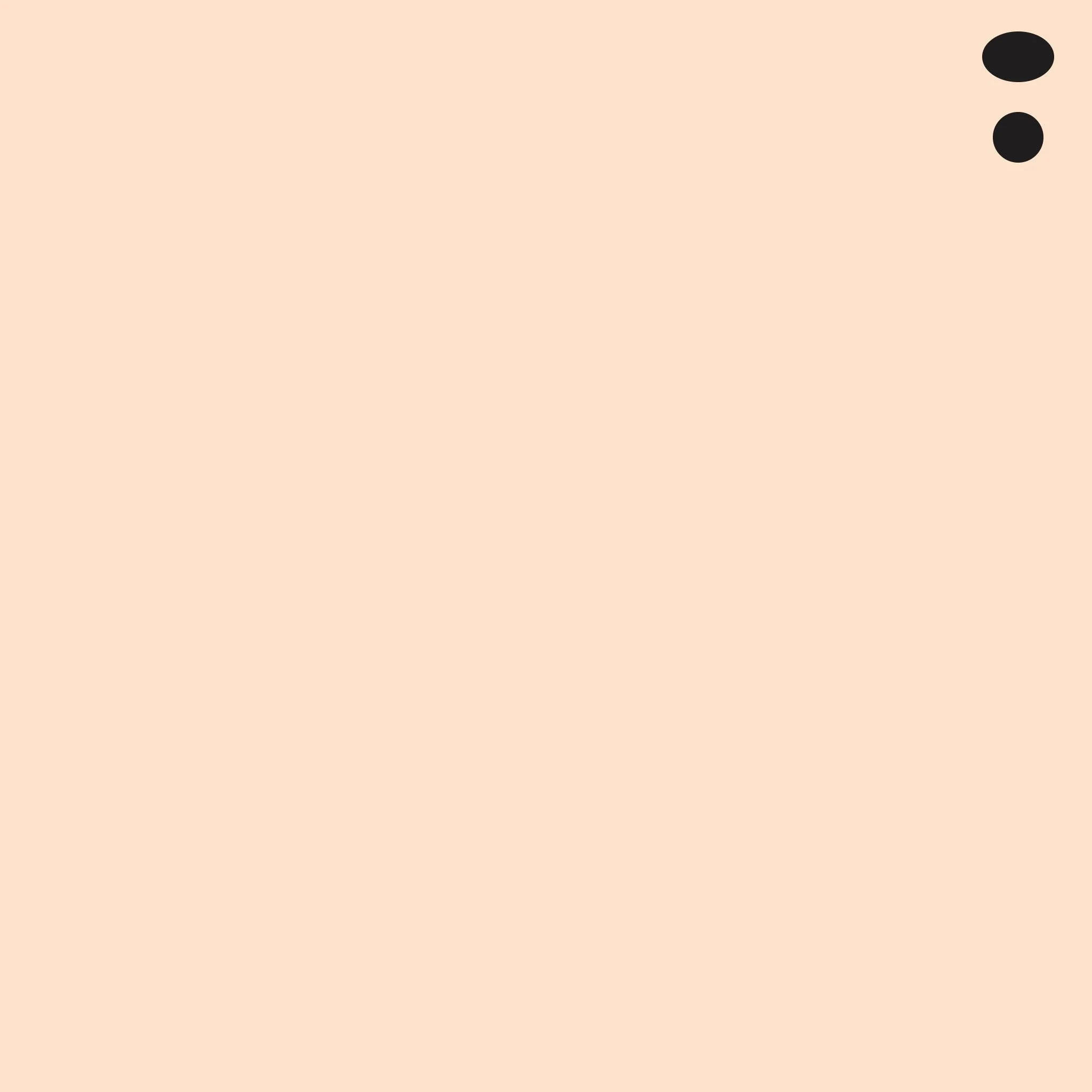 YR61 : Spring Orange